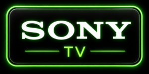 Sony TV Repair Service in Patna